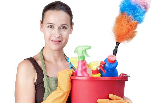 Professional pet stain odour removal in Hounslow on carpet