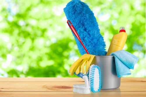 Illustration for accessible Hounslow carpet cleaners website introduction