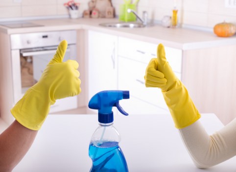 Professional carpet cleaning in Hounslow living room