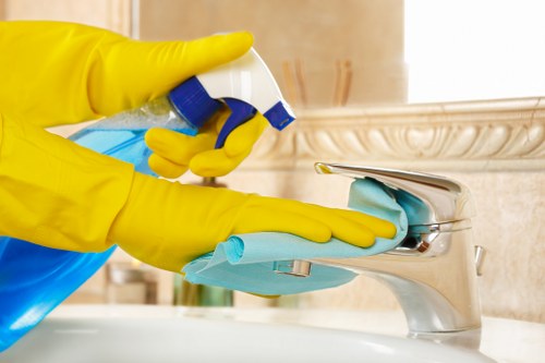 Deep cleaning equipment removing dirt from a carpet