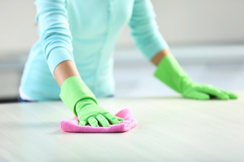 Deep cleaning for pet urine odour in a Hounslow home